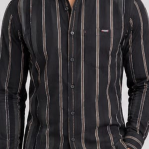 Ginco Smart Fit Stripes Cotton Full Sleeves Casual Wear Shirt for Men